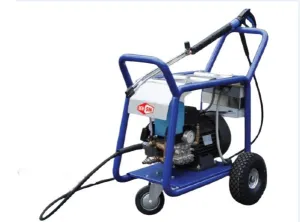 Densin C250E Electric Powered Heavy Duty Cold Water High - Pressure Cleaner | Model : C250E