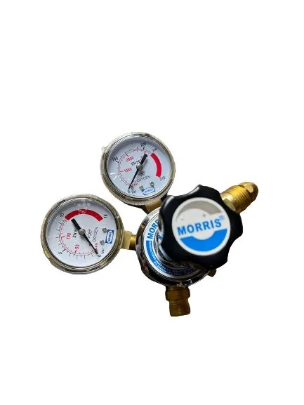 Morris 101-10M-OX Regulator Oxygen | Model : REG-M-OX