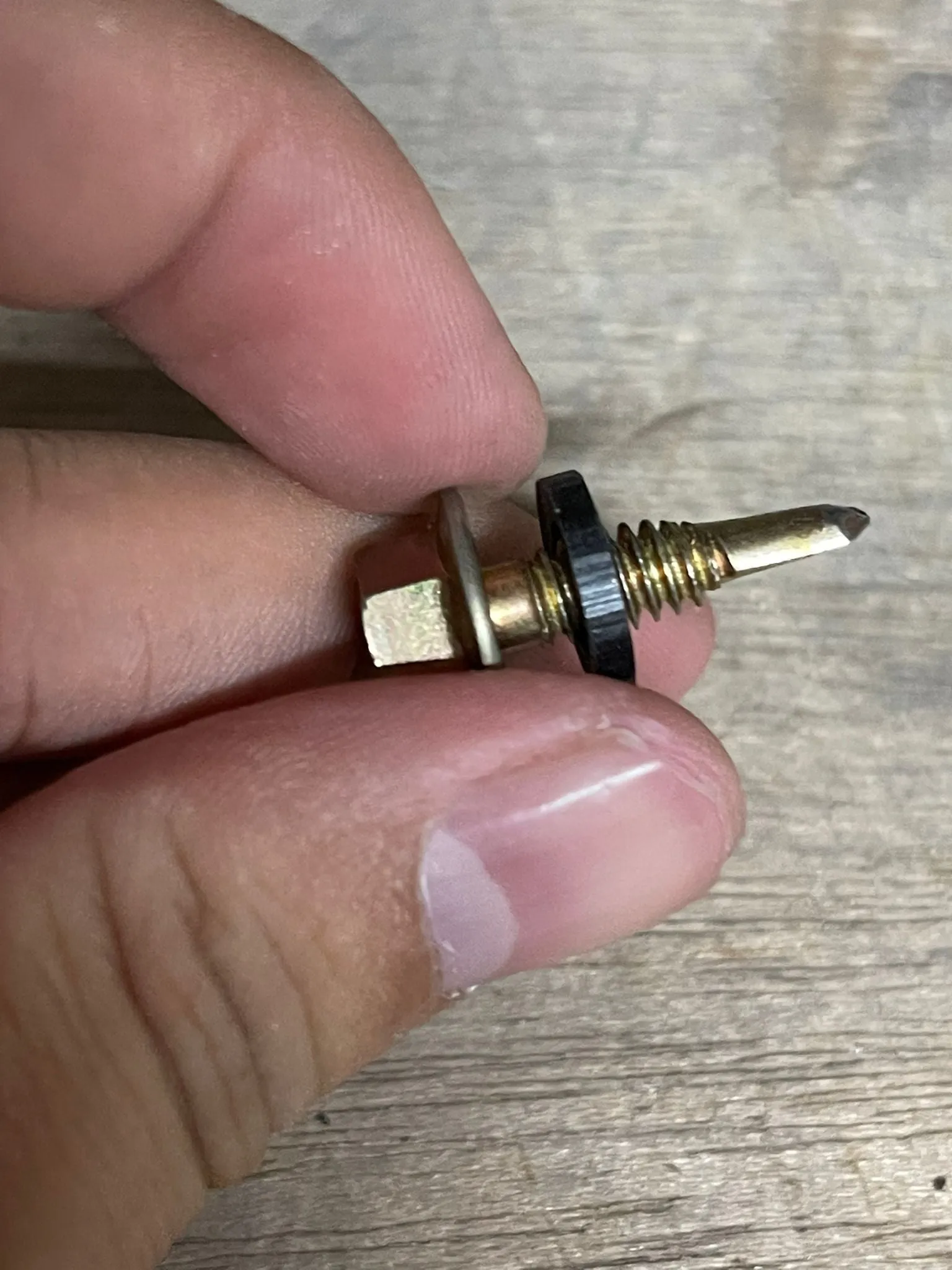 Seapex #12 : 24 x 19 mm Spandlex Screw | Model : SDS-S122419